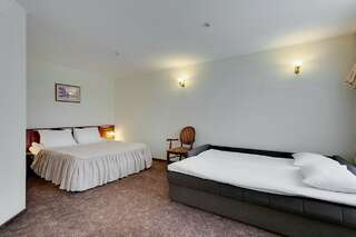 Гостиница Полюстрово Санкт-Петербург Полулюкс студия/двухкомнатный-9