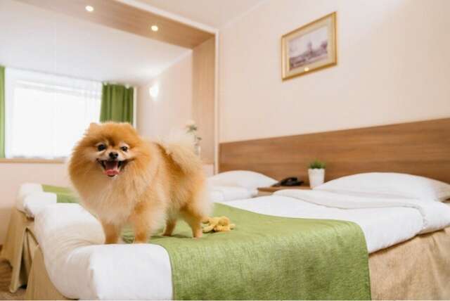 Гостиница Полюстрово Санкт-Петербург-117